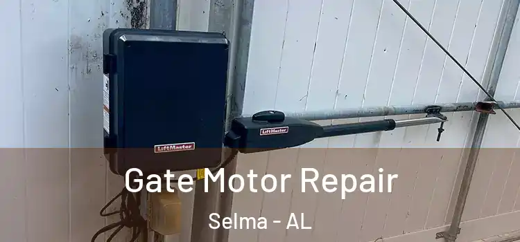 Gate Motor Repair Selma - AL